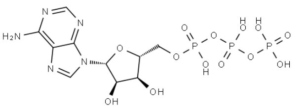 Adenosine triphosphate