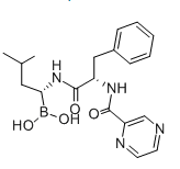 Bortezomib